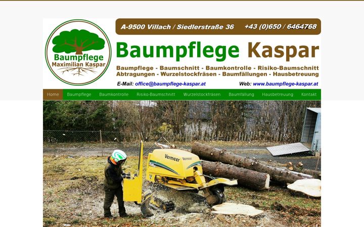 Screenshot of baumpflege-kaspar.at