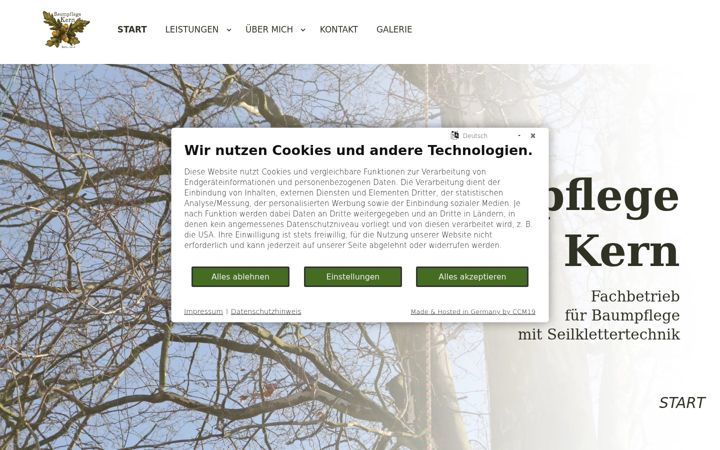 Screenshot of baumpflege-kern.de