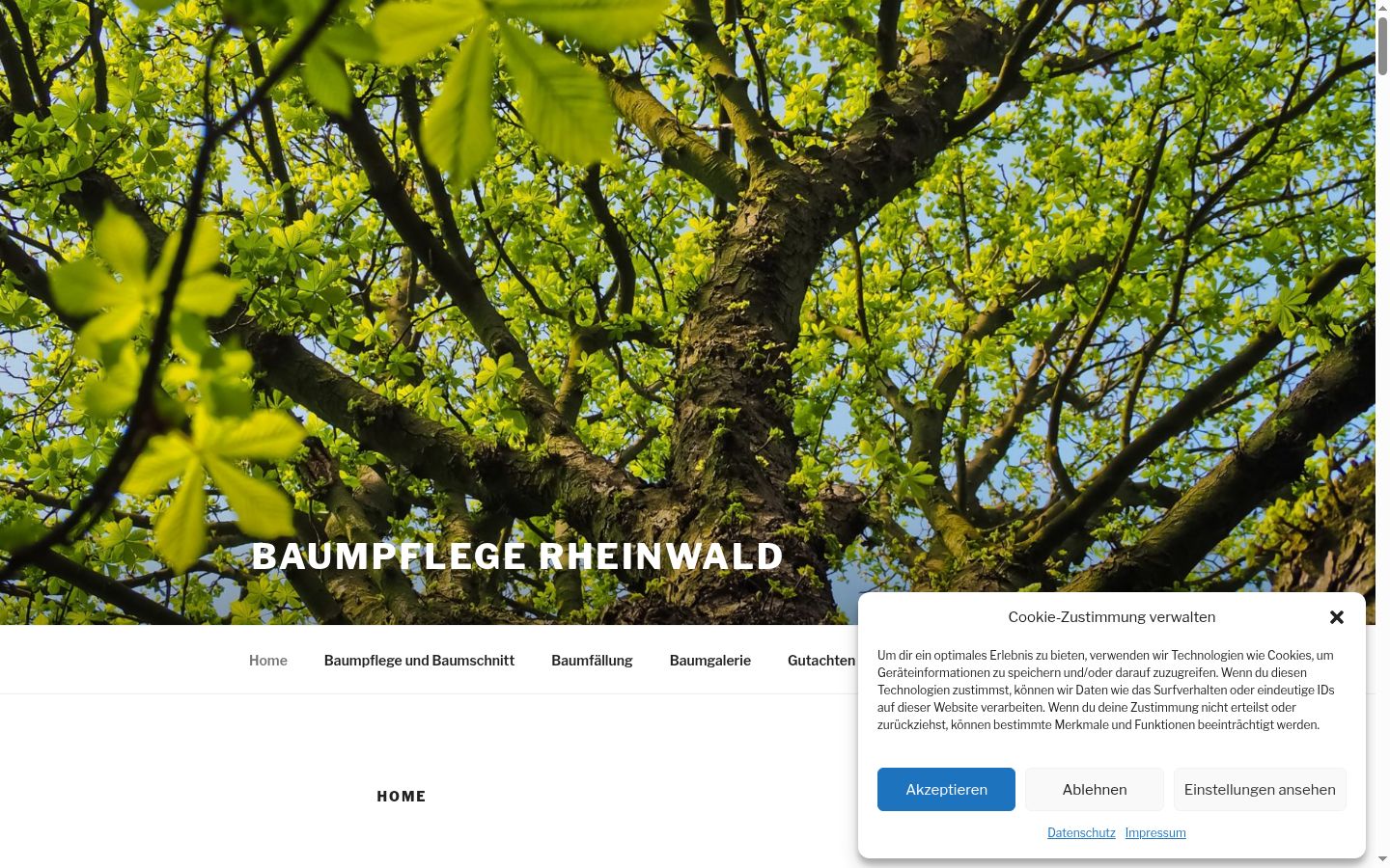 Screenshot tal-banner tal-kunsens muri qabel kwalunkwe interazzjoni