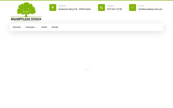 Screenshot of baumpflege-stoica.de