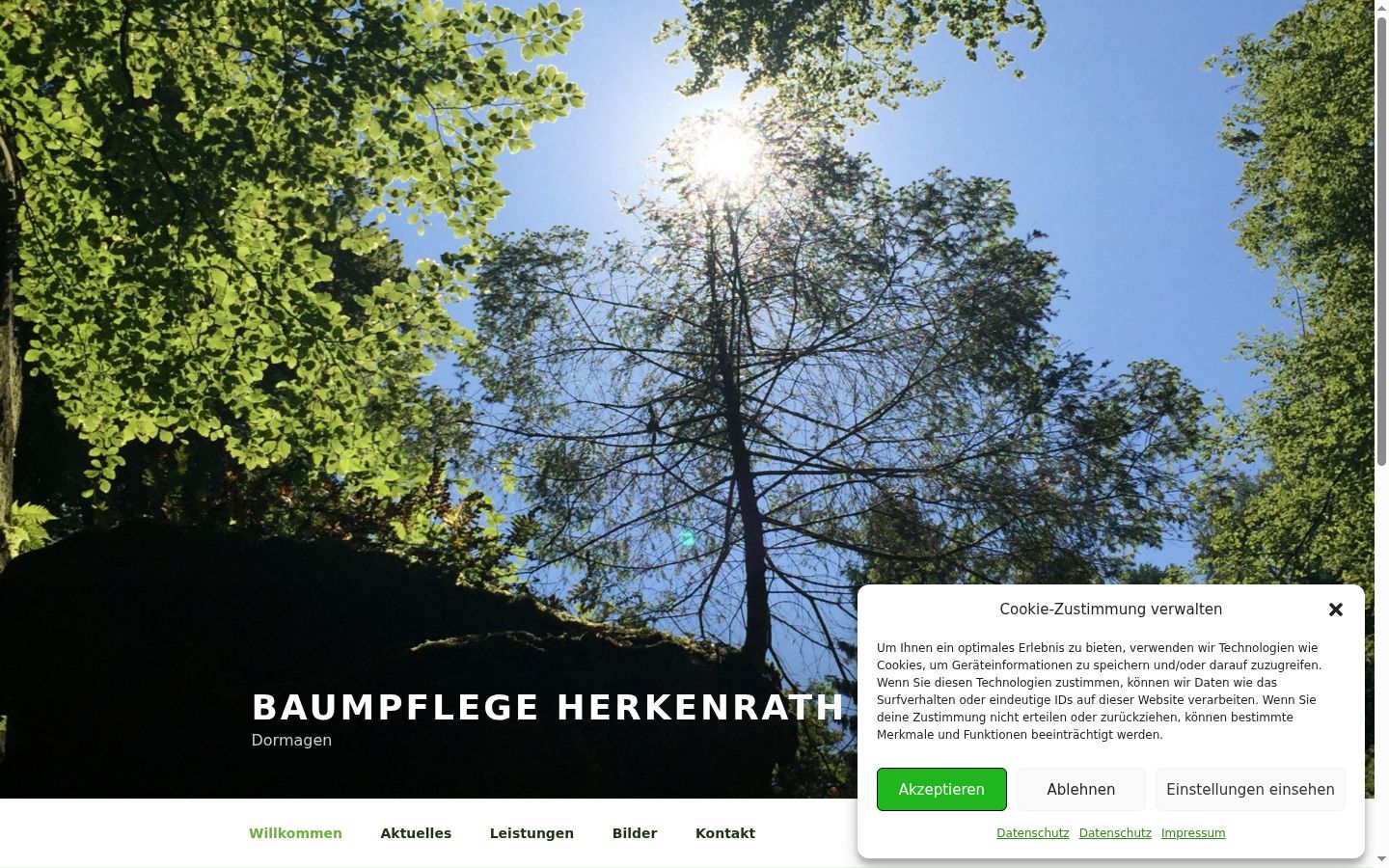 Screenshot tal-banner tal-kunsens muri qabel kwalunkwe interazzjoni