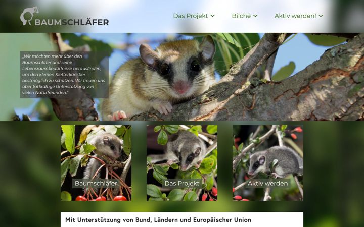 Screenshot of baumschlaefer.at