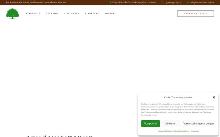 Screenshot of baumschnitt-ady.at