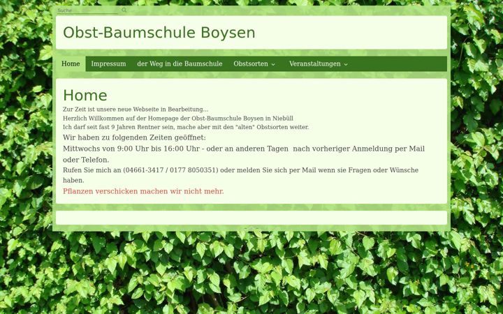 Kuvakaappaus sivustosta baumschule-boysen.de