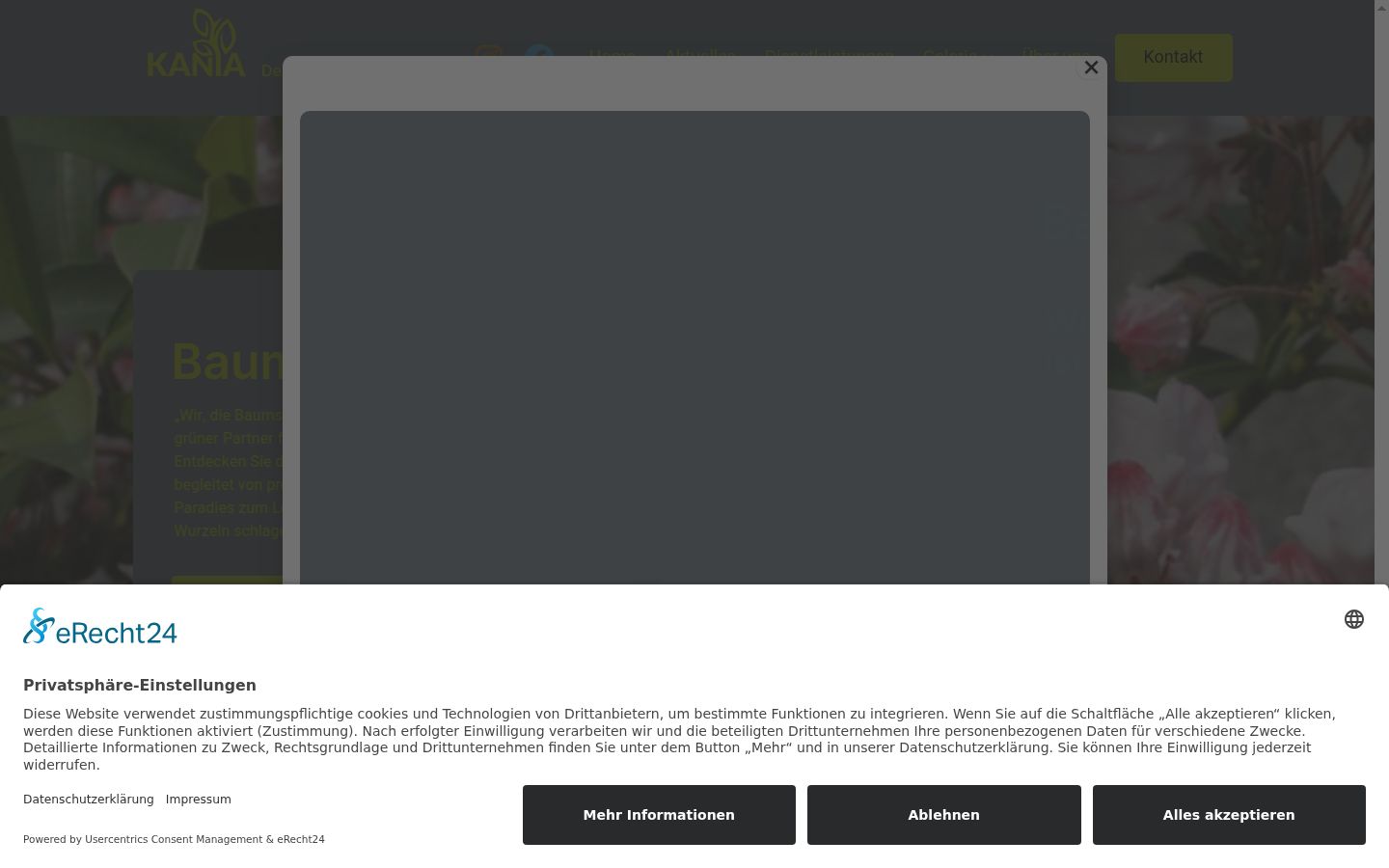 Screenshot του banner συγκατάθεσης που εμφανίστηκε πριν από οποιαδήποτε αλληλεπίδραση