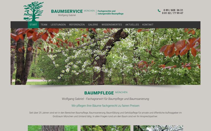 Screenshot of baumservice-muenchen.de