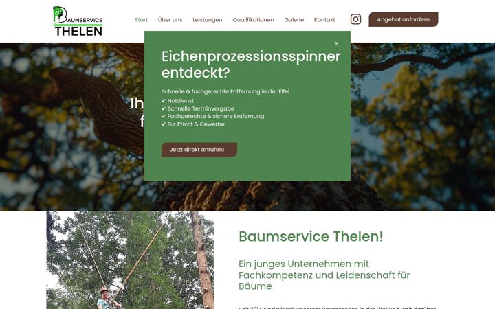 Screenshot von baumservice-thelen.de
