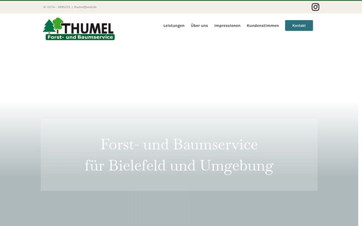 Screenshot του baumservice-thumel.de