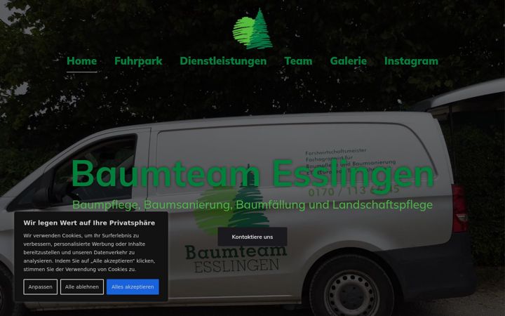 Screenshot of baumteam-es.de
