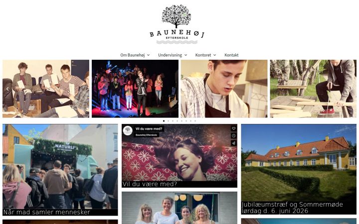 Screenshot of baunehoej.dk