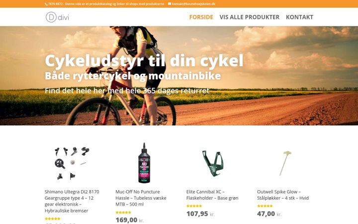 Screenshot of baunehoejskolen.dk