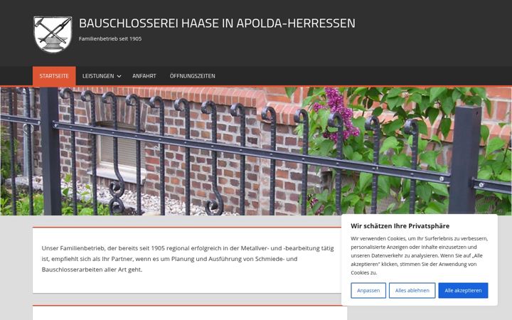 Screenshot of bauschlosserei-apolda.de