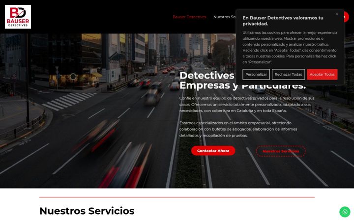 Screenshot of bauserdetectives.com