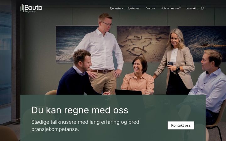Screenshot ta' bautaregnskap.no