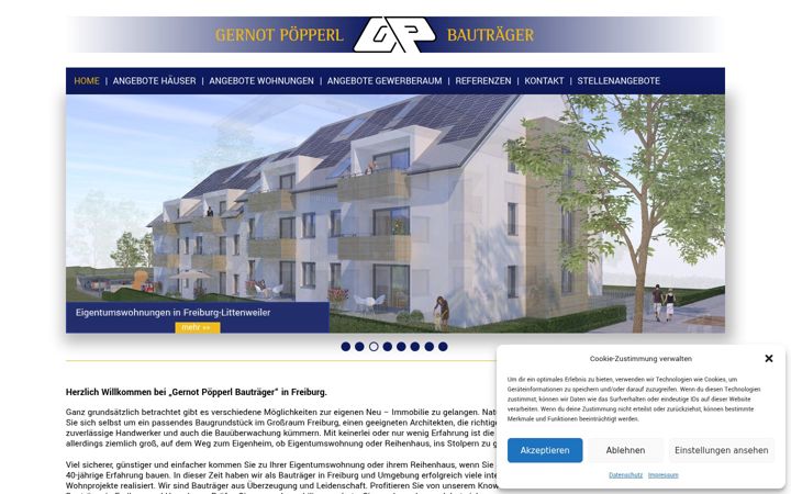 Screenshot of bautraeger-poepperl.de