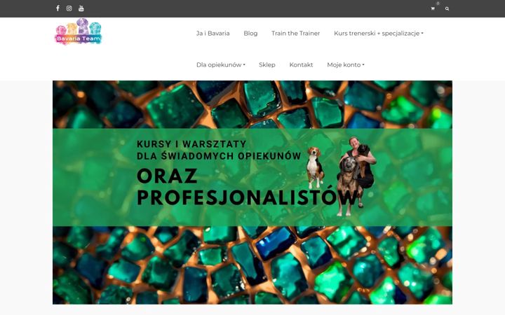 Kuvakaappaus sivustosta bavariateam.pl