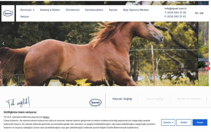 Screenshot of bavet.com.tr