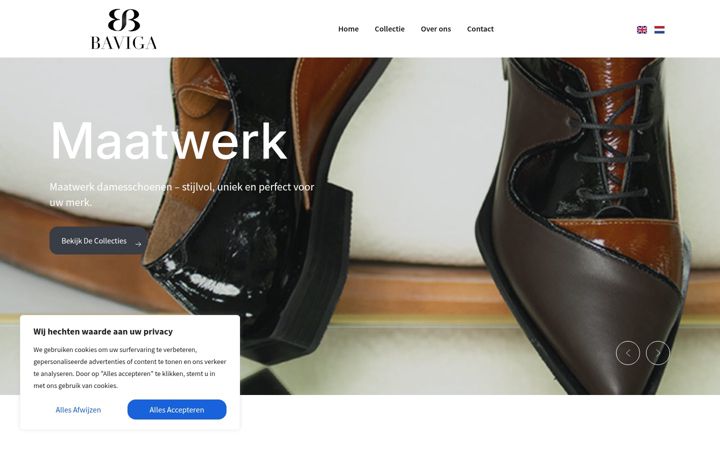 Screenshot of baviga.com