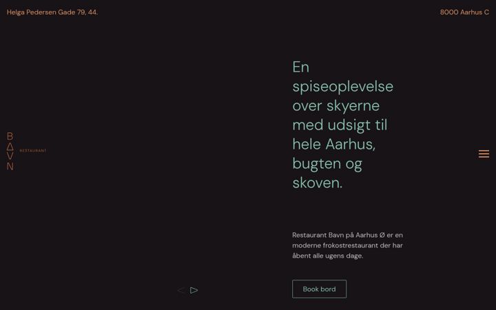 Screenshot of bavnaarhus.dk