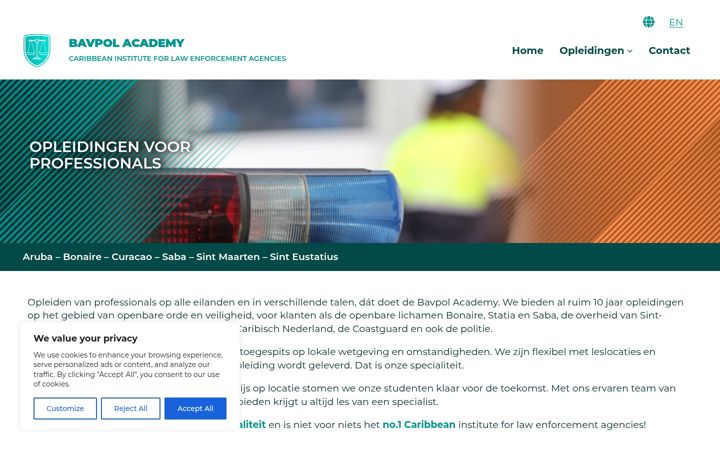 Screenshot of bavpol.academy