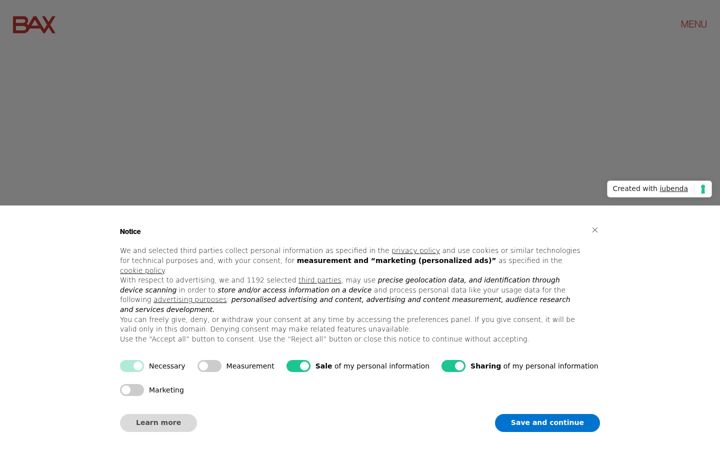 Screenshot of bax-group.com
