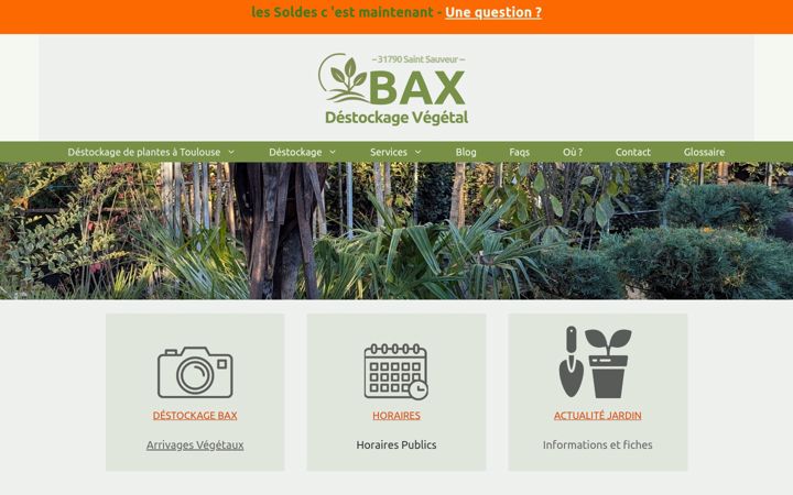 Screenshot of bax-plantes-31.fr