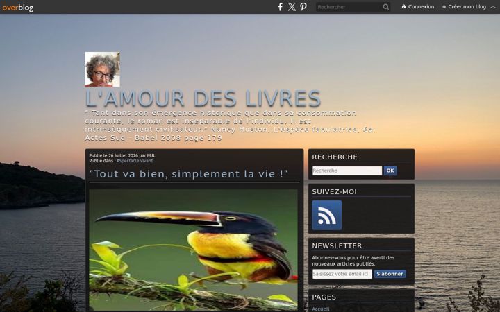 Screenshot of bayar-michele.com