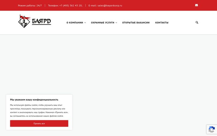 Zrzut ekranu bayardcorp.ru