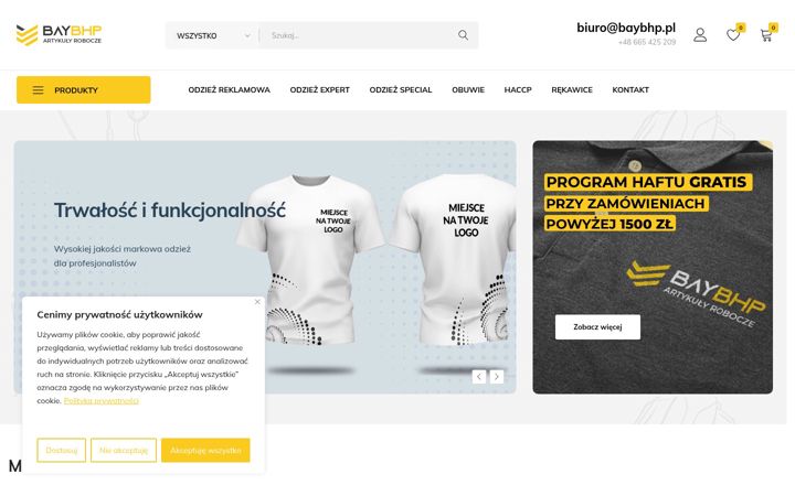 Screenshot of baybhp.pl