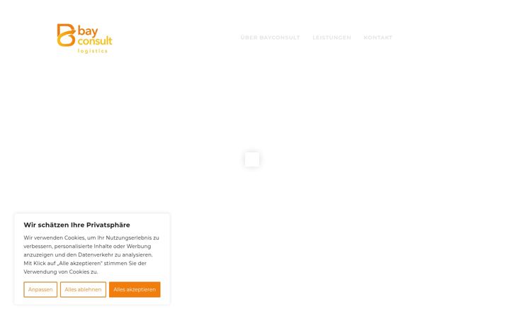 Screenshot of bayconsult.at