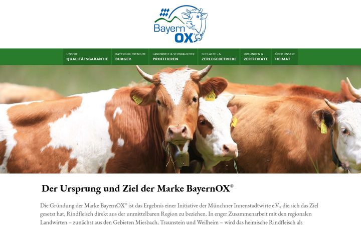 Screenshot of bayernox.de