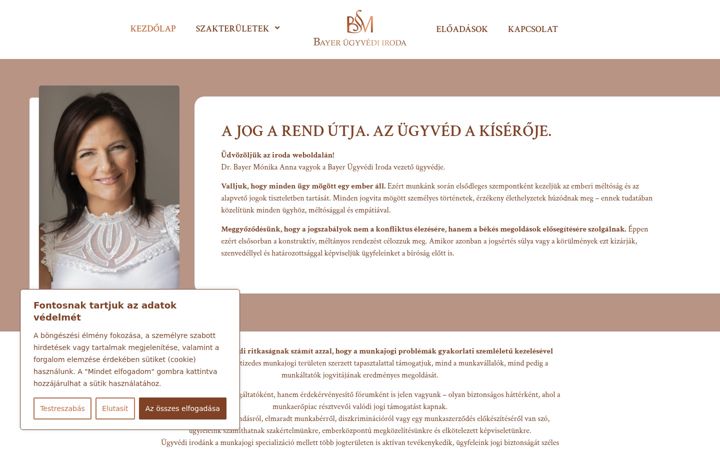 Screenshot of bayerugyved.hu