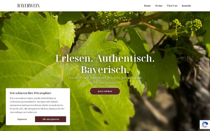 Screenshot of bayerwein.de
