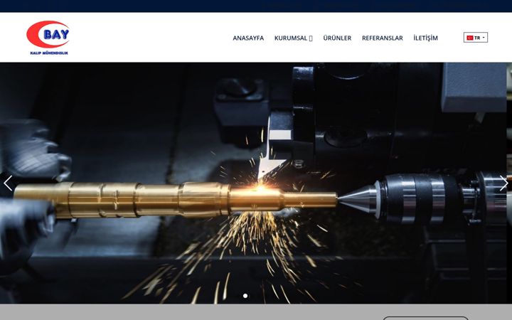 Screenshot of baygroup.com.tr