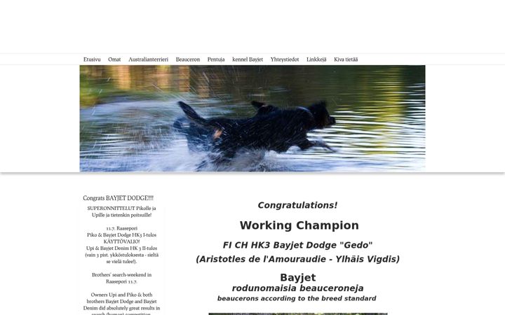 Screenshot di bayjet.net
