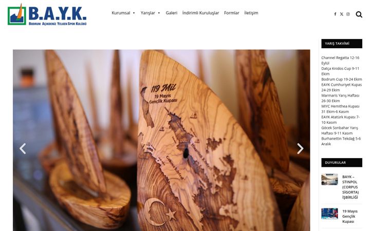 Screenshot of bayk.org.tr