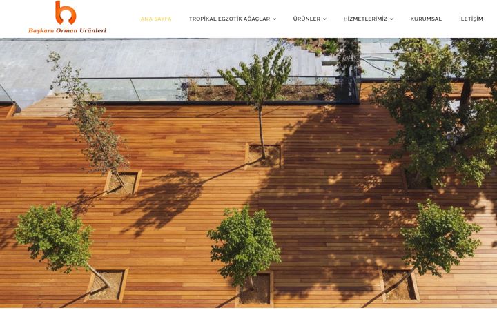 Screenshot of baykaraorman.com