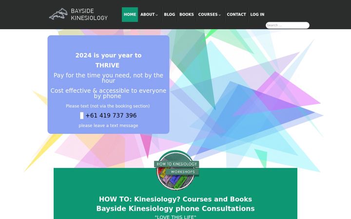 Screenshot of baysidekinesiology.com