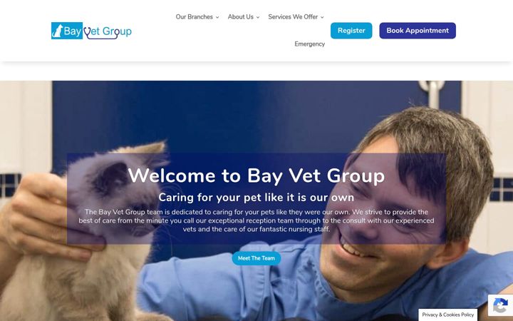 Zrzut ekranu bayvetgroup.co.uk