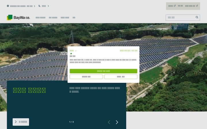 Screenshot of baywa-re.co.kr