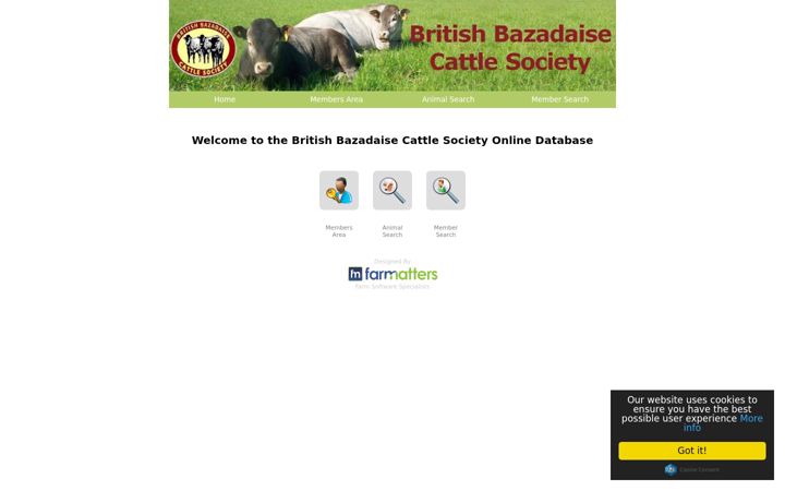 Screenshot of bazadaiseonline.co.uk