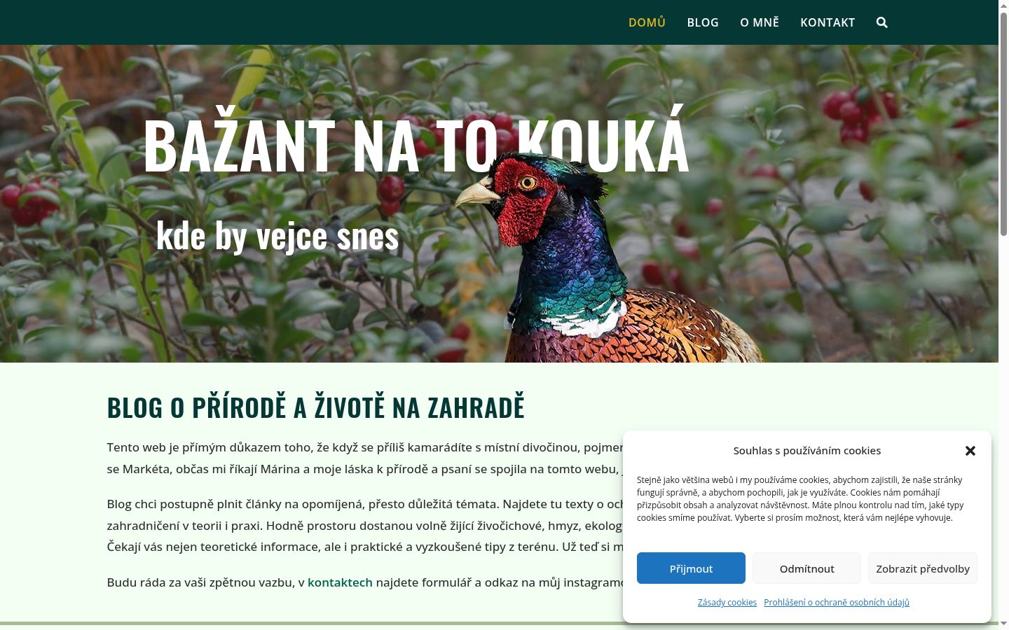 Ekrānuzņēmums ar piekrišanas baneri, kas tika rādīts pirms jebkādas mijiedarbības