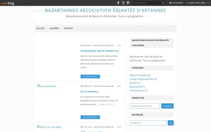 Screenshot of bazartannes.fr
