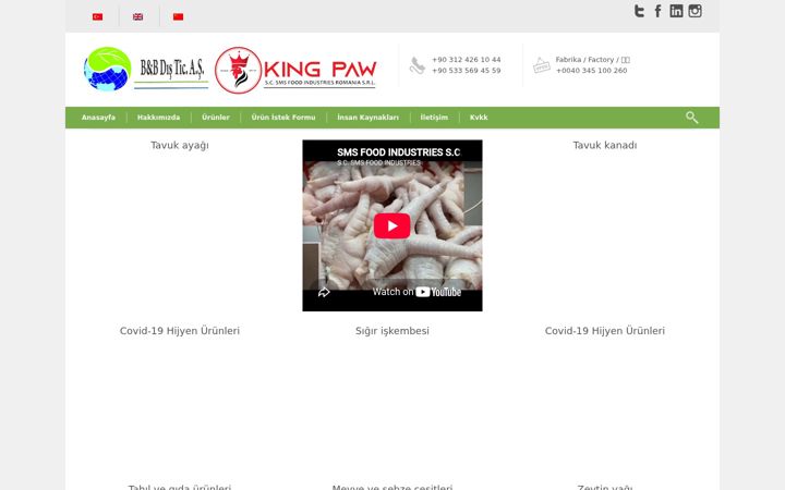 Screenshot of bbalaturka.com