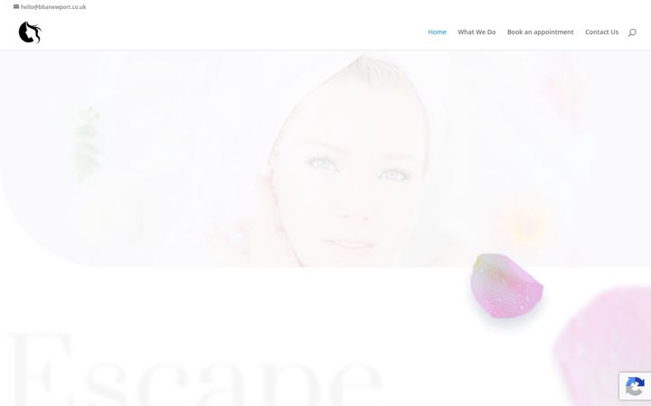 Screenshot of bbanewport.co.uk