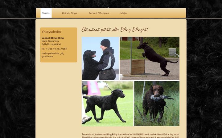 Screenshot of bbccr.net