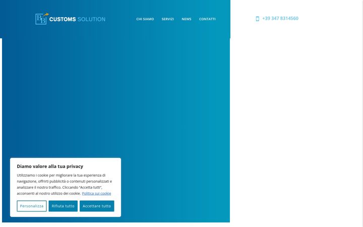 Screenshot of bbcustomssolution.it