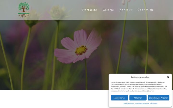 Screenshot of bbgartenservice.de