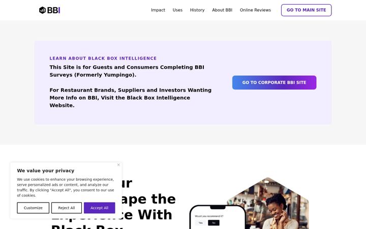 Screenshot of bbisurveys.com