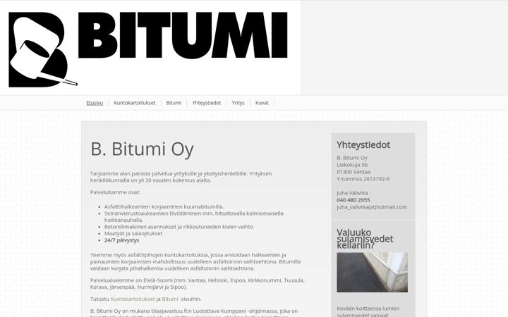Screenshot of bbitumi.fi